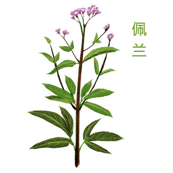 1689840082750880.png image.png