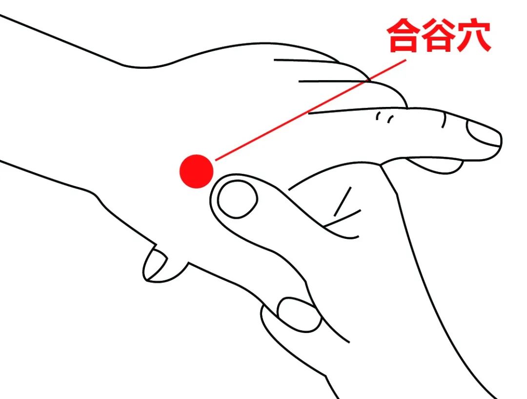 1699340421611403.jpg 640 (3).jpg