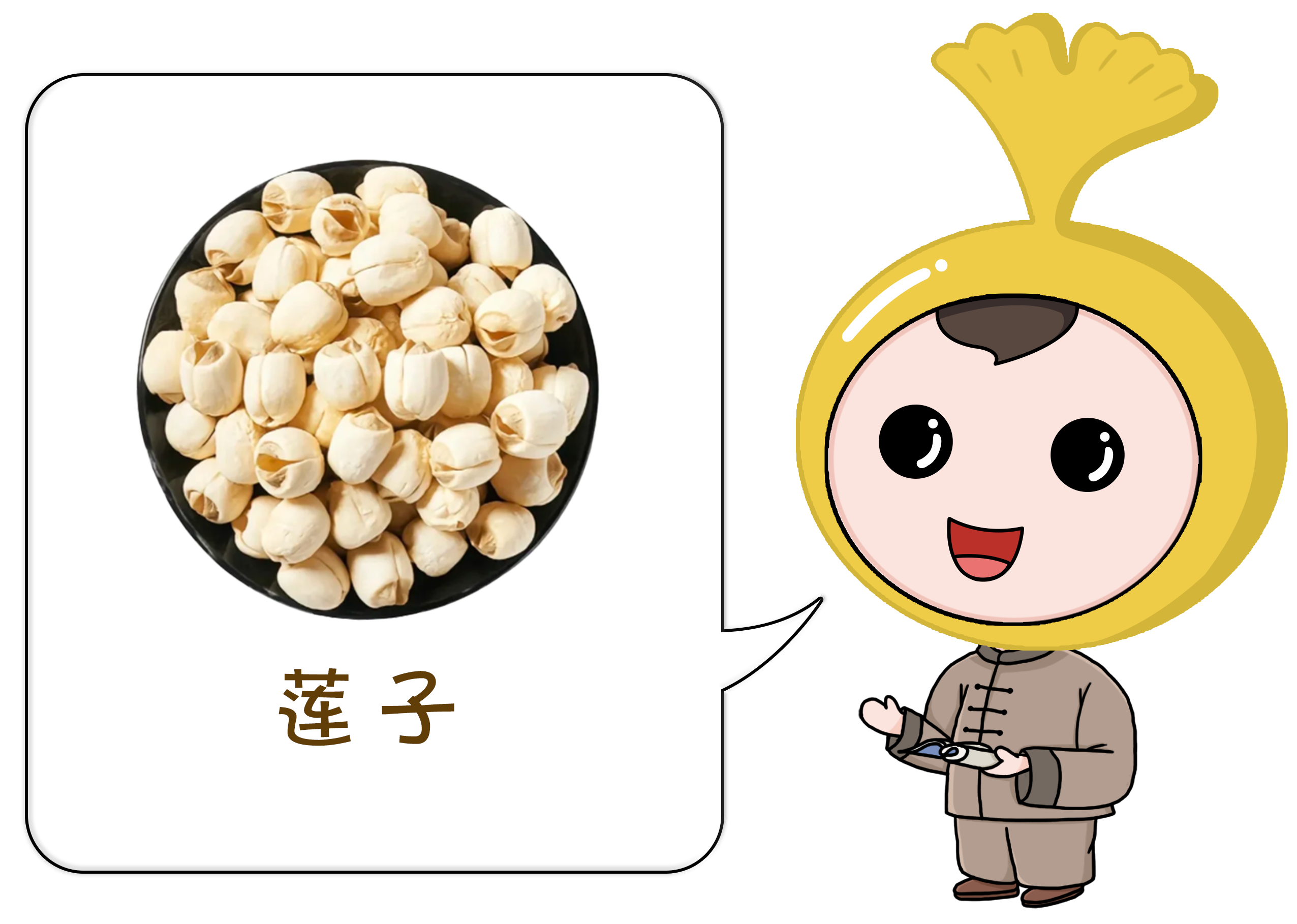 每月本草：莲子配图 (1).png