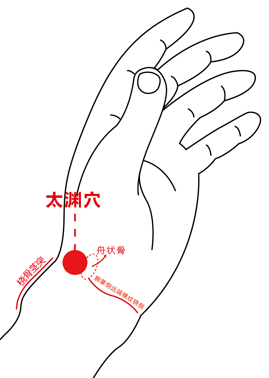 太渊穴 配图2.png