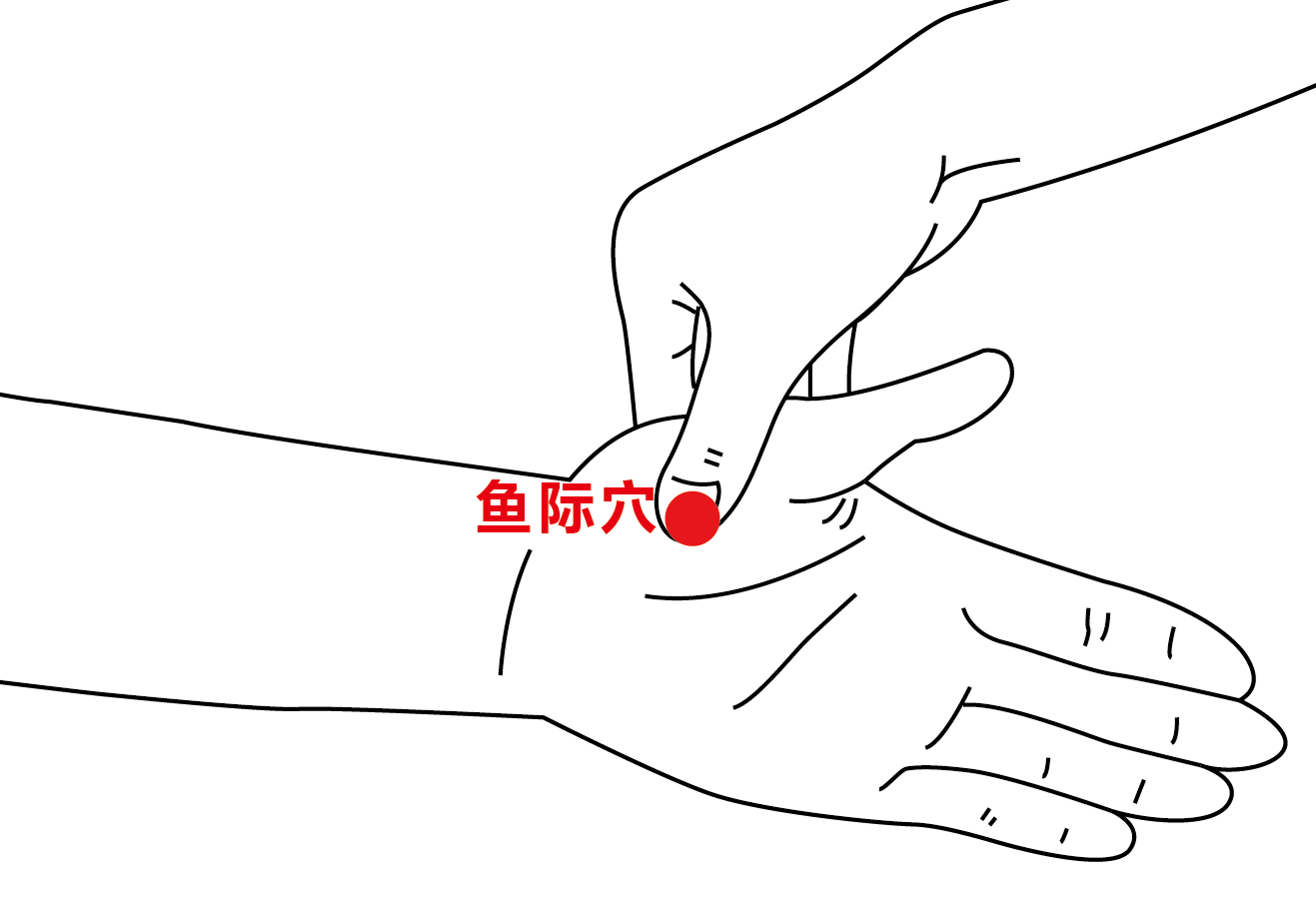 1758875180489788.png 鱼际穴配图 (3).png