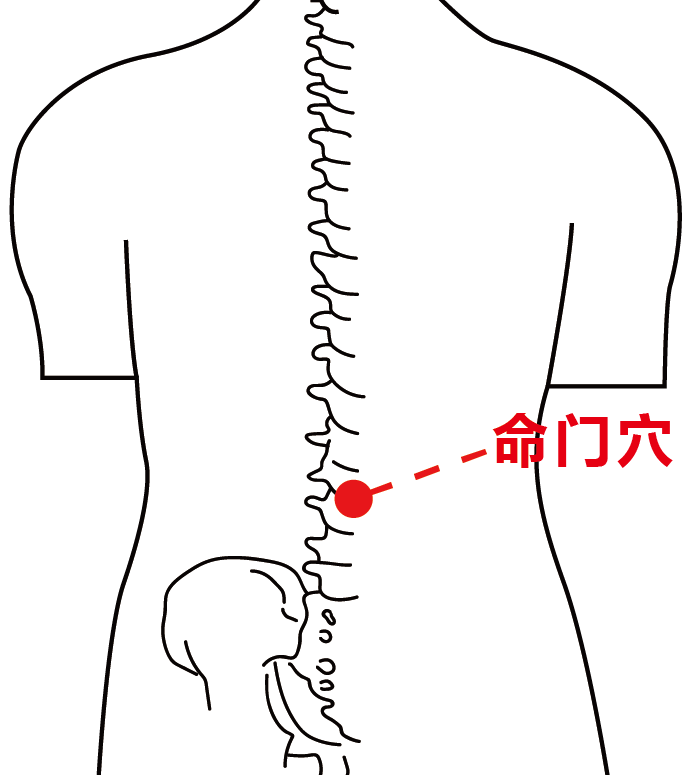 命门穴  (1).png