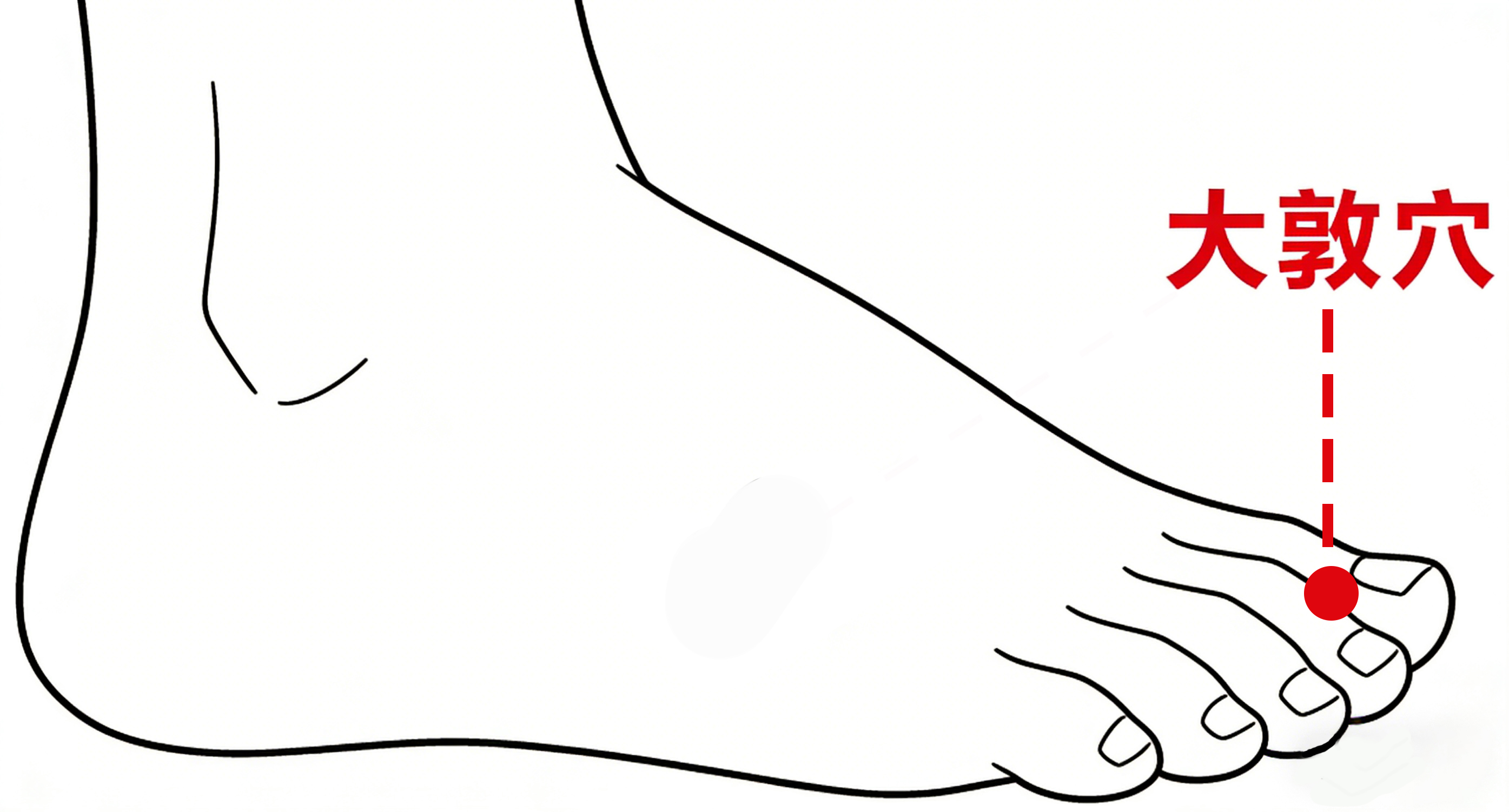 1774583127377057.jpg 大敦穴.jpg